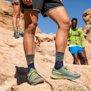 Darn Tough CDT Micro Crew Lightweight With Cushion Mens
