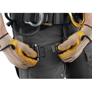 Petzl ASTRO® European Version
