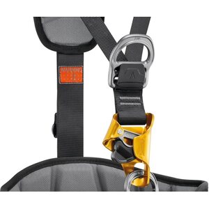Petzl ASTRO® International Version