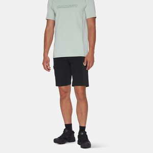 Mammut Ducan Shorts Mens