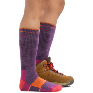 Darn Tough Hiker Boot Midweight With Cushion