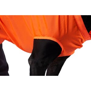 Non-stop Dogwear Dog Rescue Sling