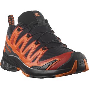 Salomon XA PRO 3D V9 GTX Color Capsule Mens