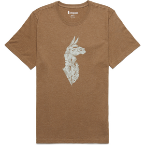 Cotopaxi Into the Pines T-Shirt Mens