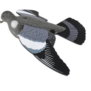 Appelants pigeons