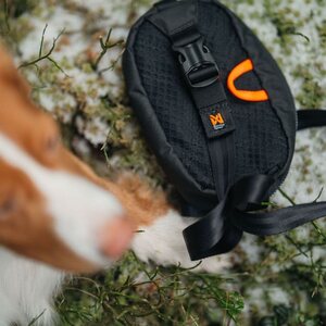 Non-stop Dogwear Trail Quest Fanny Pack