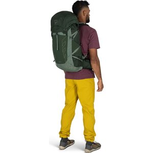Osprey Talon 33 backpack