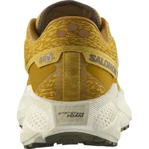 Salomon Aero Glide 3 Gravel Mens