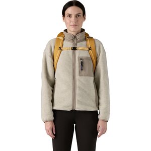 Patagonia Black Hole Pack 25L