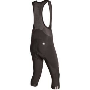 Endura FS260 Pro Thermo Bibknicker Mens