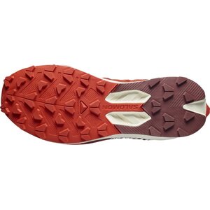 Salomon S/Lab Pulsar 4