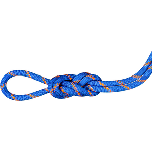 Mammut 9.0 Alpine Sender Dry Standard Rope