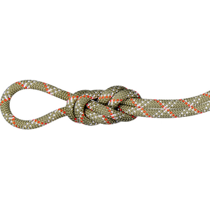 Mammut 9.5 Gym Classic Rope