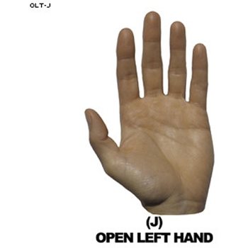 Law Enforcement Targets Open Left Hand Hand Overlay