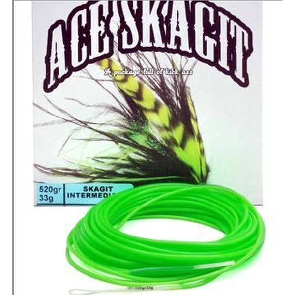 Vision Ace Skagit Intermediate Head
