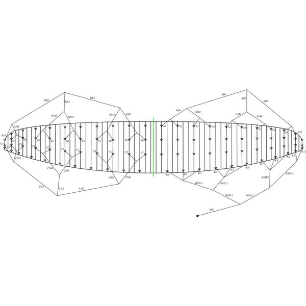 Ozone R1 V2 Buggy Specifications 6m² Bridle Line Set