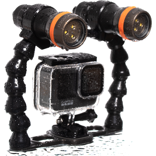 Ammonite Led Stingray Mark II Video Set