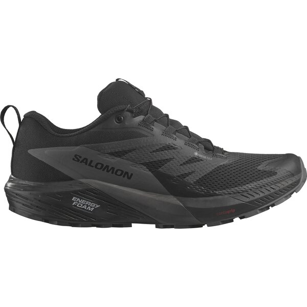 Salomon Sense Ride 5 GTX Mens