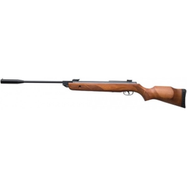 Gamo Hunter 1250 4.5