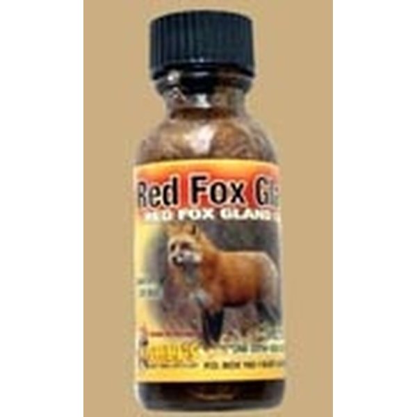 Kishel's Red Fox Gland