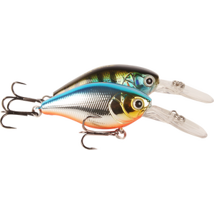 Fischen