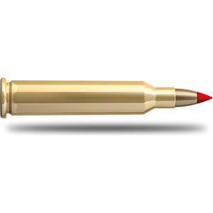 .17 Hornet φυσίγγια